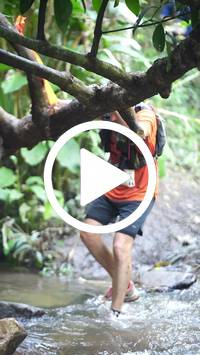 BIB:  <button type="button" onclick="openModal(27805628)" class="btn btn-primary btn-sm float-right" data-toggle="modal" data-target=".modal-high-quality">
                <i class="fa fa-download"></i> Download
                </button>